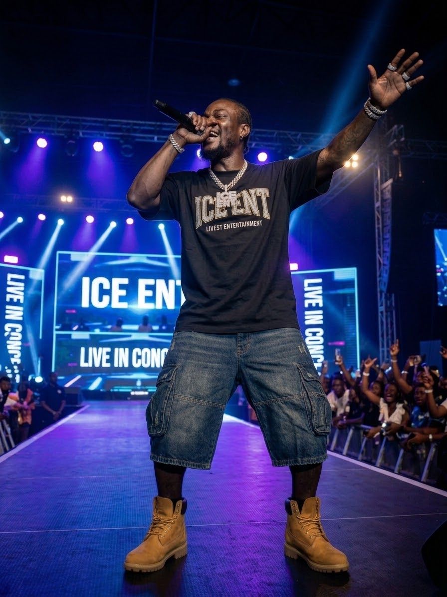 I_am_Iceberg performing live at an ICE ENT concert